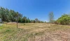 135 Bulwer Street, Tenterfield, NSW 2372-Image
