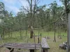 135 Kangaroo Track, Omeo, Vic 3898-Image