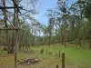 135 Kangaroo Track, Omeo, Vic 3898-Image