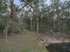135 Kangaroo Track, Omeo, Vic 3898-Image