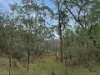 135 Kangaroo Track, Omeo, Vic 3898-Image