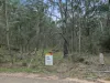 135 Kangaroo Track, Omeo, Vic 3898-Image