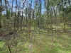 135 Kangaroo Track, Omeo, Vic 3898-Image