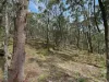 135 Kangaroo Track, Omeo, Vic 3898-Image