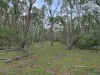 135 Kangaroo Track, Omeo, Vic 3898-Image
