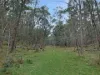 135 Kangaroo Track, Omeo, Vic 3898-Image