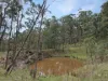 135 Kangaroo Track, Omeo, Vic 3898-Image