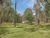 135 Kangaroo Track, Omeo, Vic 3898-Image