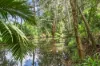 136 Lindeman Road, Beerwah, Qld 4519-Image