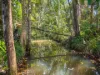 136 Lindeman Road, Beerwah, Qld 4519-Image