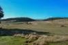 137 Springhill Bottom Road, Colebrook, Tas 7027