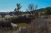137 Springhill Bottom Road, Colebrook, Tas 7027-Image