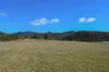 137 Springhill Bottom Road, Colebrook, Tas 7027-Image