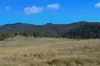 137 Springhill Bottom Road, Colebrook, Tas 7027-Image