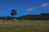 137 Springhill Bottom Road, Colebrook, Tas 7027-Image