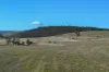 137 Springhill Bottom Road, Colebrook, Tas 7027-Image