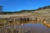 137 Springhill Bottom Road, Colebrook, Tas 7027-Image