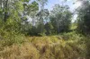 1380 Gaeta Road, Gaeta, Qld 4671-Image