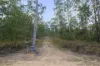 1380 Gaeta Road, Gaeta, Qld 4671-Image