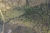 1380 Gaeta Road, Gaeta, Qld 4671-Image