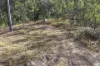 1380 Gaeta Road, Gaeta, Qld 4671-Image