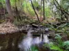 139 McFauls Road, Mount Martin, Qld 4754-Image