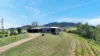 139 McFauls Road, Mount Martin, Qld 4754-Image