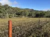 139 Tunnel Rd,, Boolboonda, Qld 4671-Image