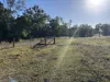 139 Tunnel Rd,, Boolboonda, Qld 4671-Image