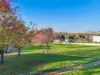 14-16 Silvester Street, Casterton, Vic 3311-Image