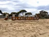 14 Acland Street, Blanchetown, SA 5357-Image