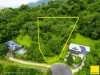 14 Barringtonia Close, Redlynch, Qld 4870