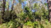 14 Borrows Street, Russell Island, Qld 4184