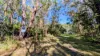 14 Borrows Street, Russell Island, Qld 4184-Image