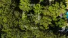 14 Borrows Street, Russell Island, Qld 4184-Image
