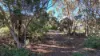 14 Brownlow Crescent, Kingscote, SA 5223-Image
