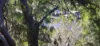 14 Burton Close, Walpole, WA 6398