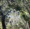 14 Burton Close, Walpole, WA 6398-Image