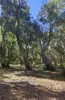 14 Burton Close, Walpole, WA 6398-Image