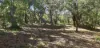 14 Burton Close, Walpole, WA 6398-Image