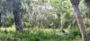 14 Burton Close, Walpole, WA 6398-Image