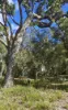 14 Burton Close, Walpole, WA 6398-Image