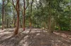 14 Caloola Street, Pindimar, NSW 2324-Image