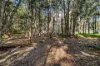 14 Caloola Street, Pindimar, NSW 2324-Image