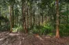 14 Caloola Street, Pindimar, NSW 2324-Image