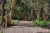 14 Caloola Street, Pindimar, NSW 2324-Image