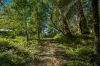 14 Canyon Parade, Springbrook, Qld 4213-Image