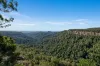 14 Canyon Parade, Springbrook, Qld 4213-Image