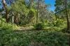 14 Canyon Parade, Springbrook, Qld 4213-Image