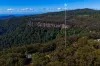 14 Canyon Parade, Springbrook, Qld 4213-Image